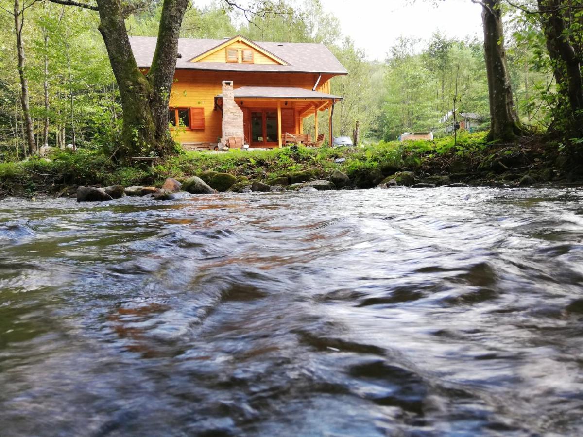 Chalet By The River Văliug Exterior foto