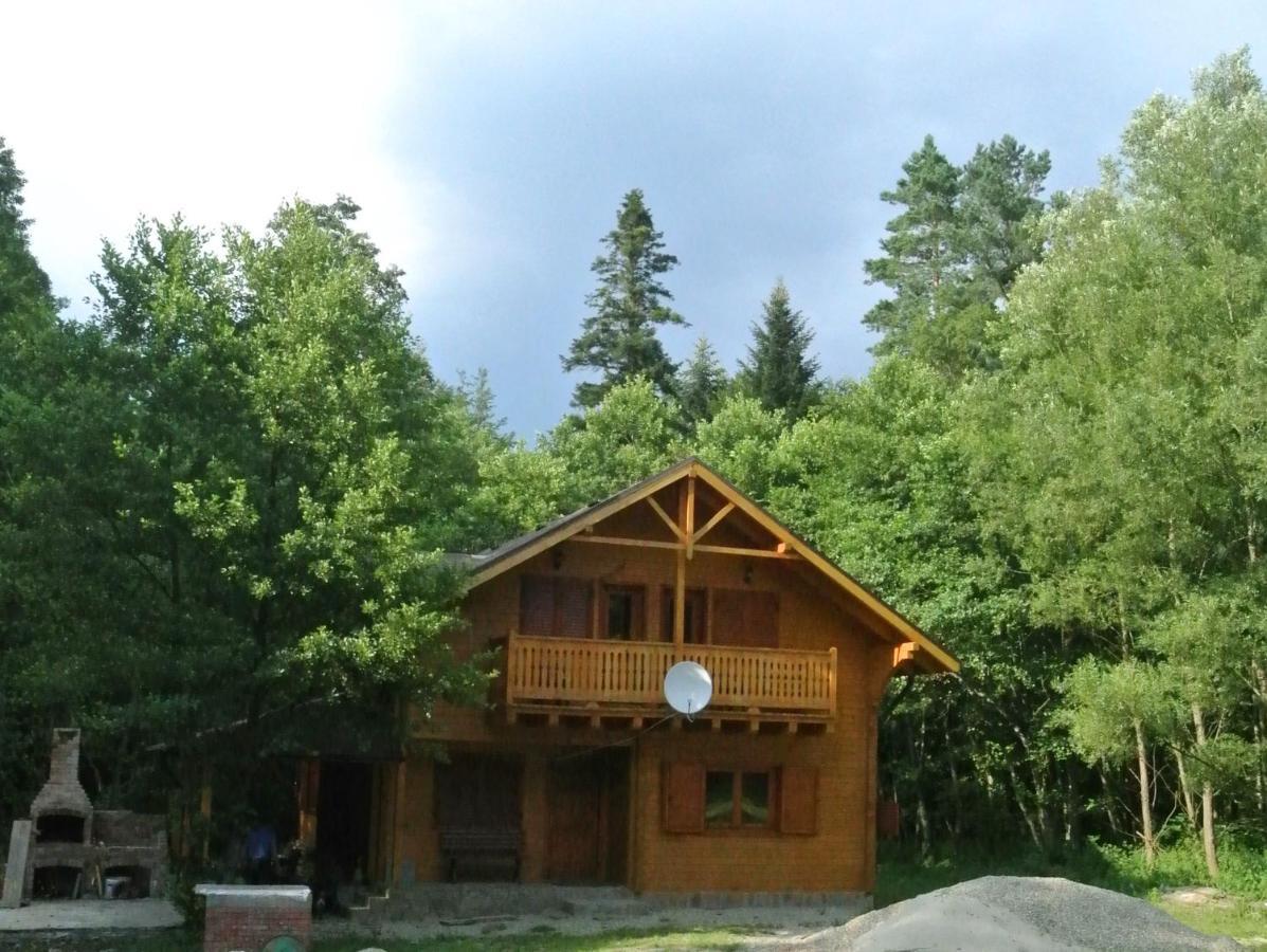 Chalet By The River Văliug Exterior foto